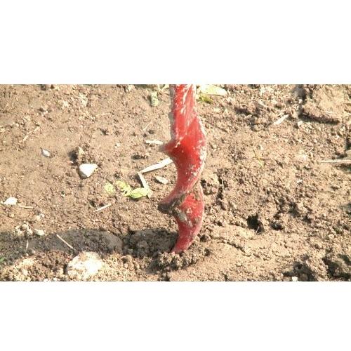 千吉 支柱用穴掘り機 25mm SGHD-25 4977292638135 [穴あけ ドリル