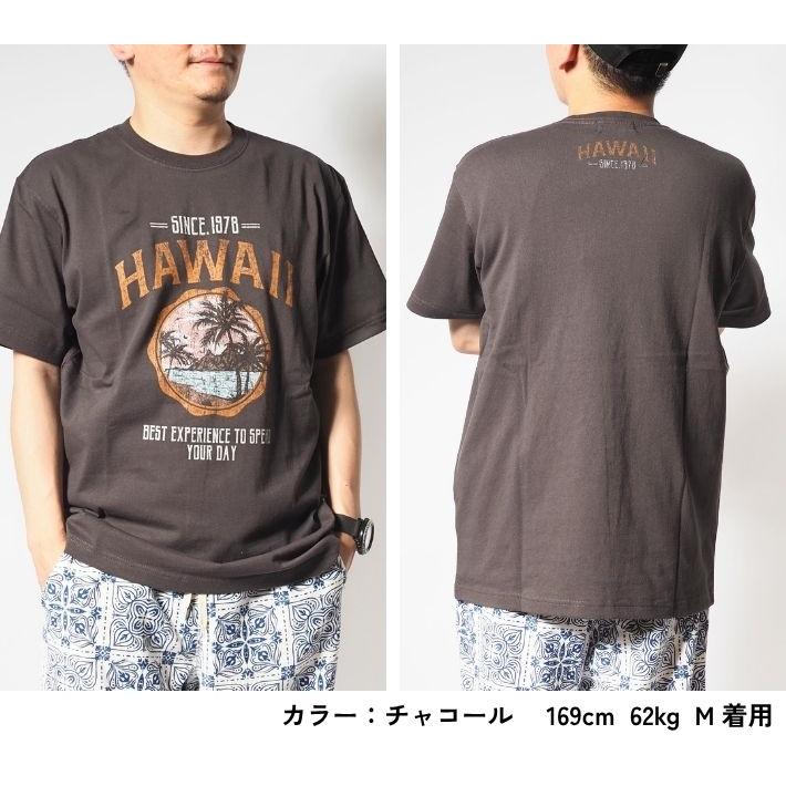 Hula Lani（フララニ） セール Hulalani Hawaii ハワイ Tシャツ 半袖