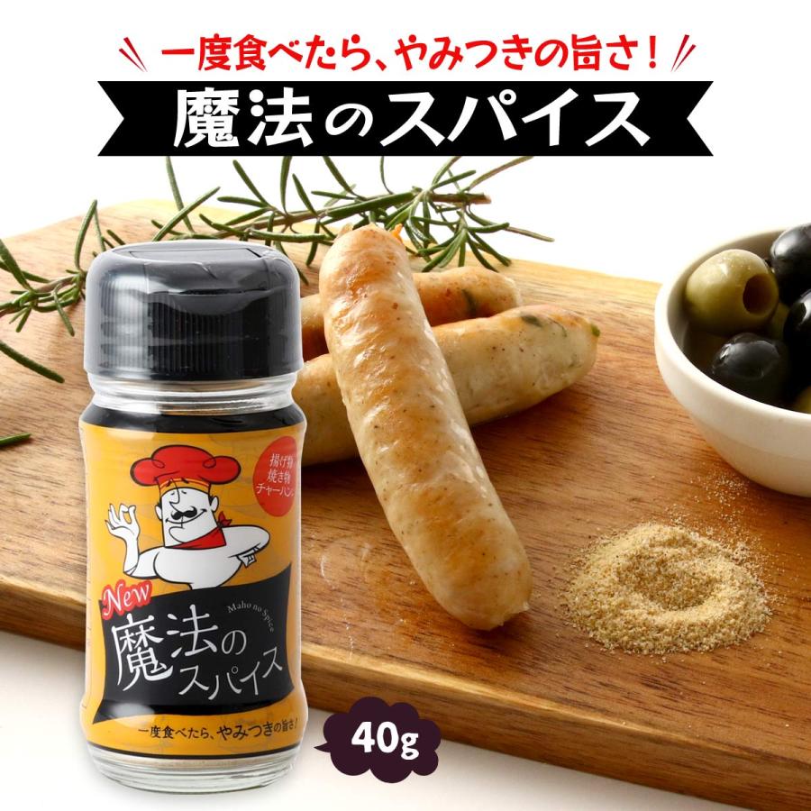 ファインフーズジャパン] スパイス 魔法のスパイス 40g /調味料 香辛料