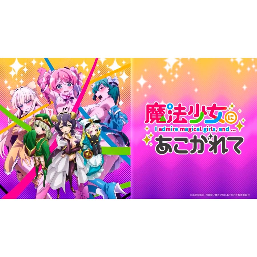 ブシロード BOX ヴァイスシュヴァルツロゼ ブースターパック 魔法少女