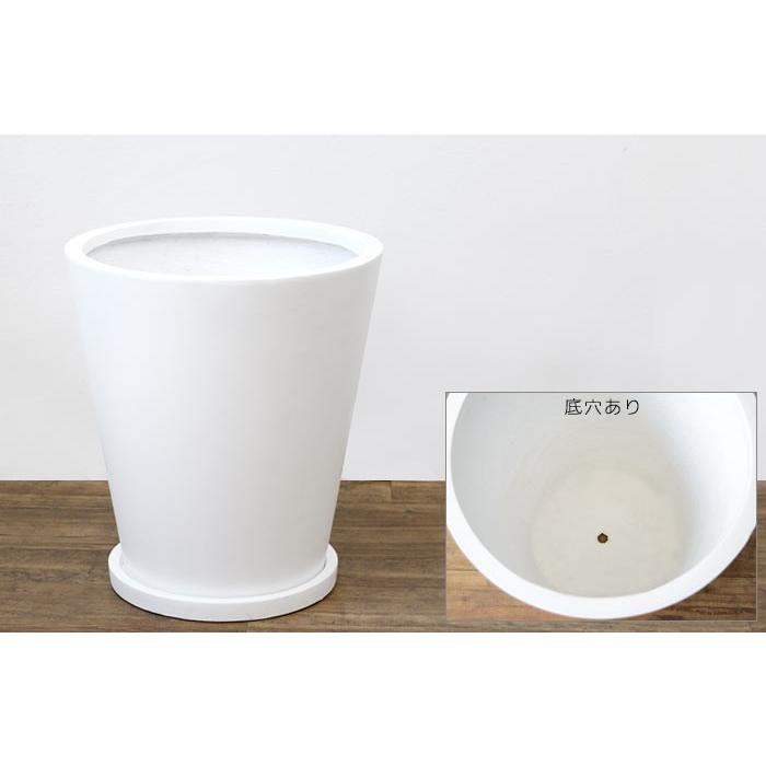 観葉植物 本物 アレカヤシ 10号鉢 白陶器鉢カバー付き セット