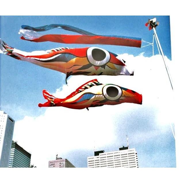 鯉のぼり 岡本太郎鯉のぼり 岡本太郎ミュージアム限定品 大型鯉庭園用