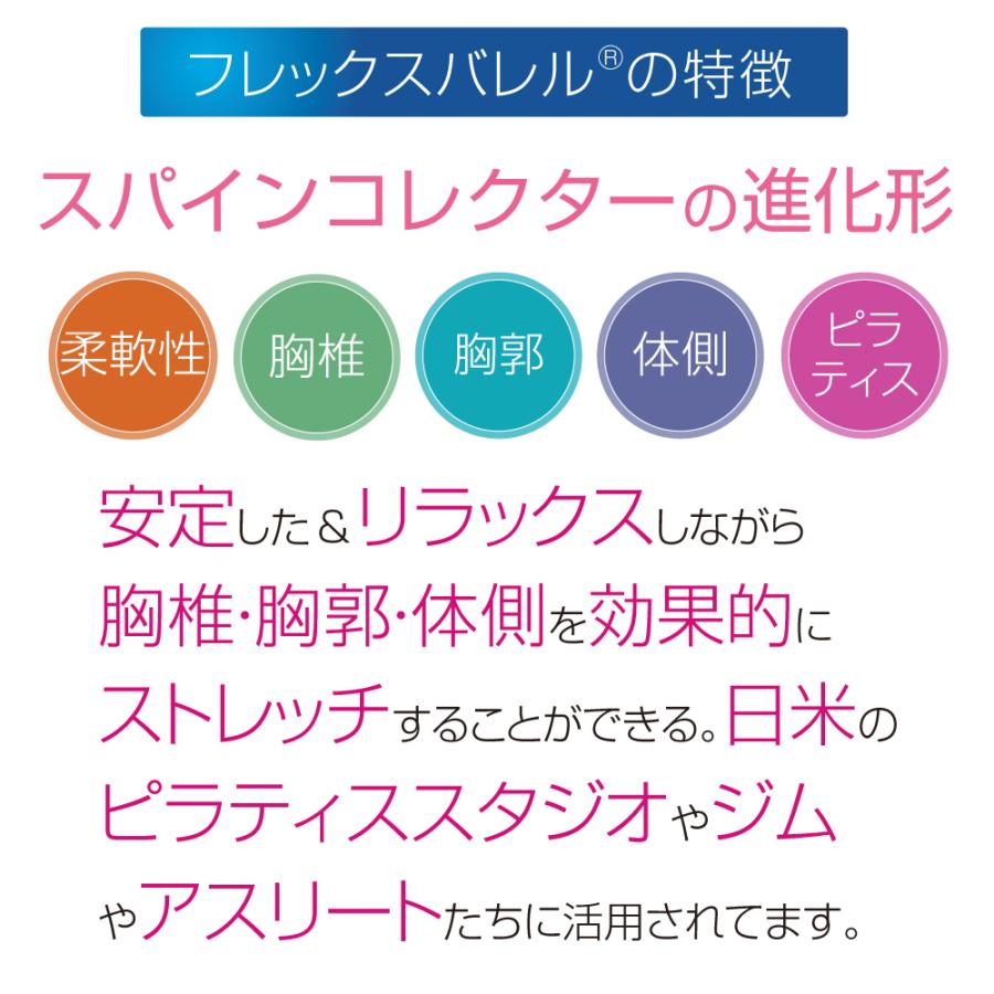 フレックスバレル(くじら型)ブラック : サンテプラスYahoo!店 - 通販