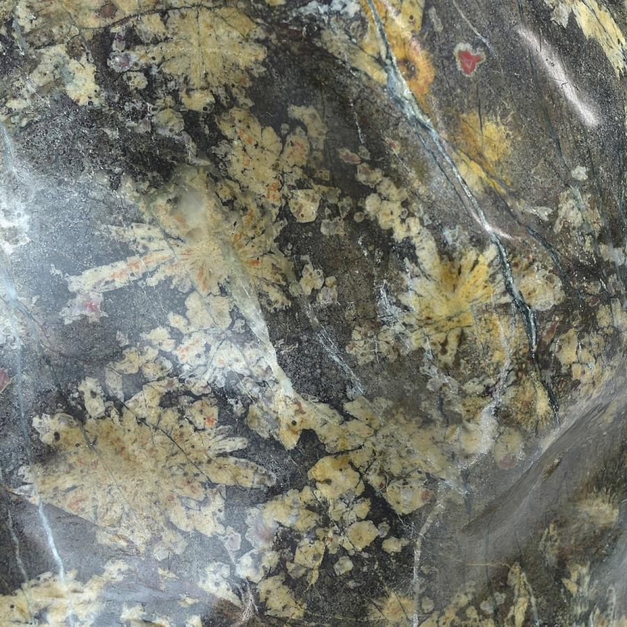 趣楽】 希少 国産 天然特大菊花石 高さ49cm 重量45，1kg 本物