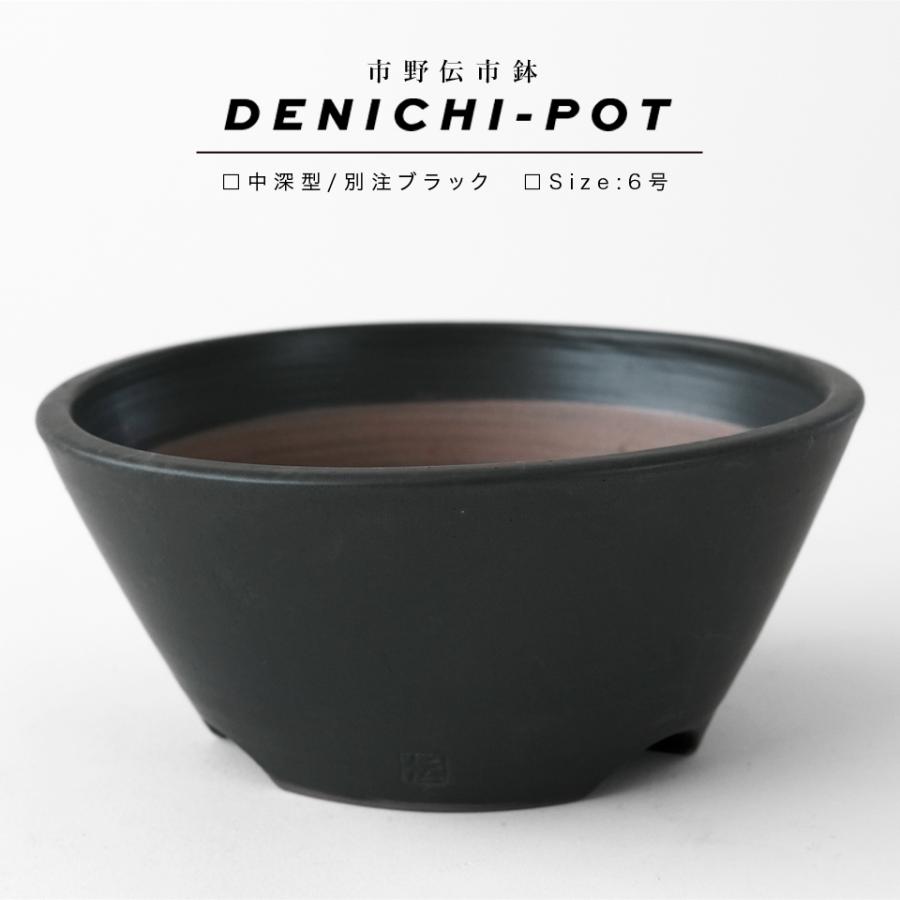 伝市鉢 中深型【ブラック】6号 Φ18×H8cm 植木鉢 陶器 丹波立杭焼 市野
