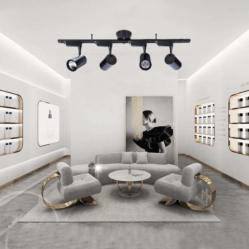 シーリングライト4灯 スポットライト付き 配線ダクトレール用 スポット