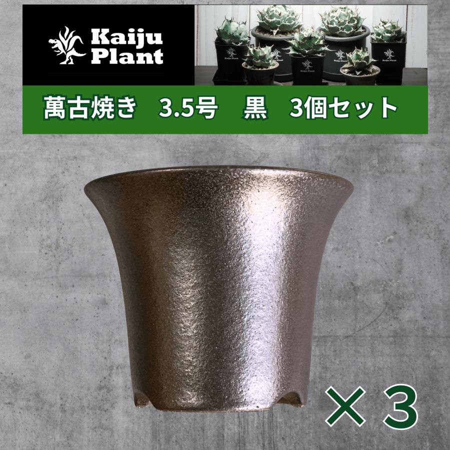 Kaiju Plant 萬古焼 3.5号 陶器鉢 ラッパ アガベ 多肉 塊根 用 黒 3鉢