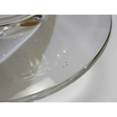 バカラ（Baccarat） フラワーベース 花瓶 プリマベーラ : ピナコテカ