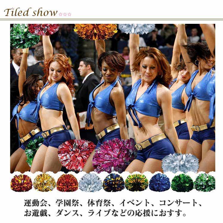 チアポンポン 応援ポンポン 10個セット チアガール 応援用品 チア