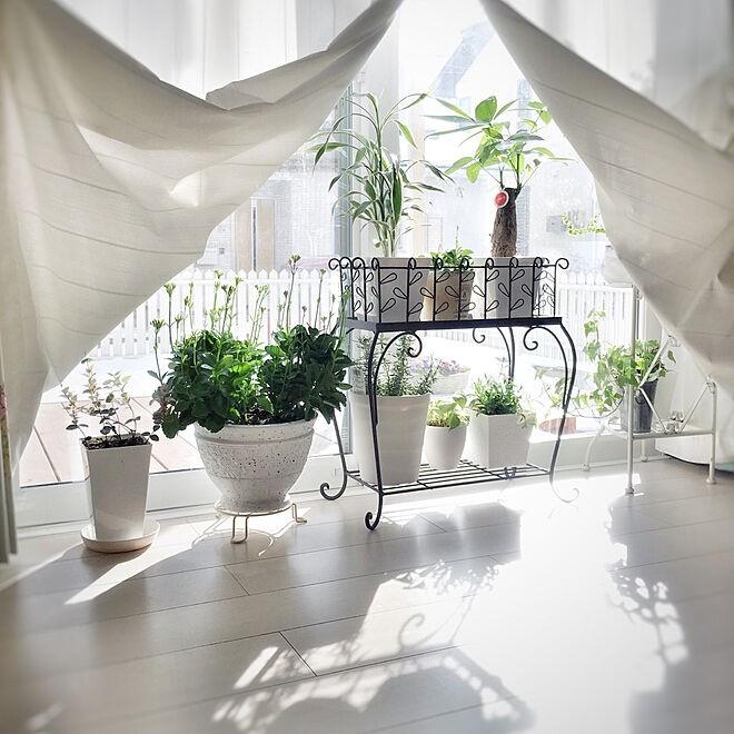 フラワースタンド 屋外 室内 プランタースタンド アイアン 花台 鉢台