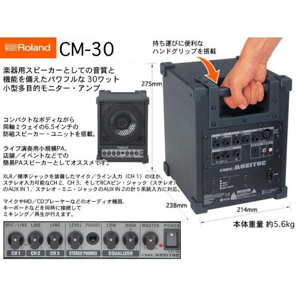 ローランド（Roland） Roland CM-30 CUBE MONITOR ◇ 簡易PAにオススメ