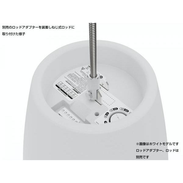 BOSE（ボーズ） DM3P PAIR BLK ( ペア / 2本入 ) 吊り下げ ペンダント