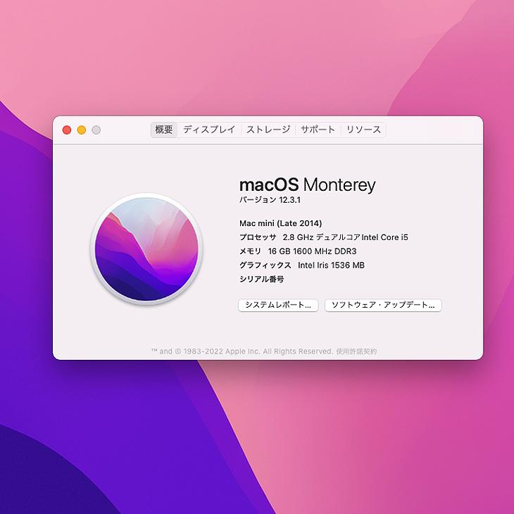 Mac mini Apple MGEQ2J/A A1347 Late 2014 小型デスク 選べるOS