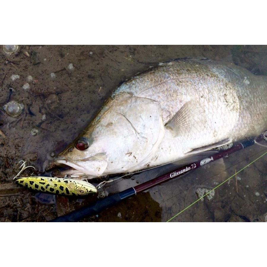 TULALA ツララ グリッサンドGlissando 72 : ウインズヤフー店 - 通販