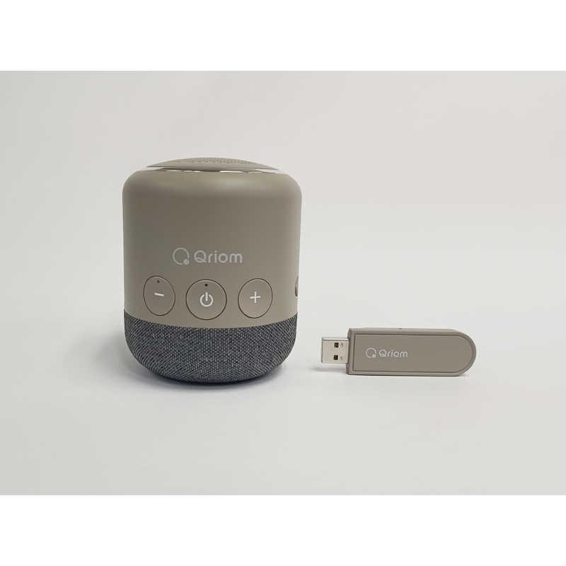 QRIOM テレビ用お手元スピーカー 2.4GHz ワイヤレス YTR-D500-BE YTR