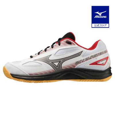 MIZUNO バドミントンシューズ（色：ブルー系）｜バドミントン