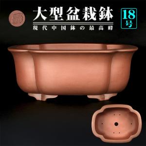 盆栽鉢 紫泥外縁下紐楕円鉢 植木鉢 中国鉢 張氏製陶 落款あり 17号