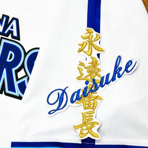 ☆送料無料☆東京 ヤクルト スワローズ 山田哲人 応援歌 白布 刺繍