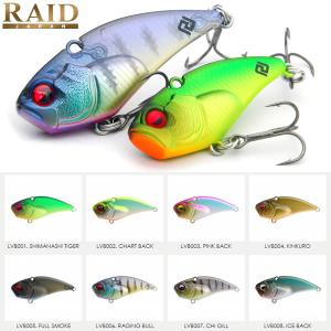 RAID JAPAN（レイドジャパン） レベル バイブ ブーストLEVEL VIB BOOST