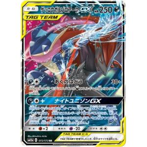 ポケモンカードゲーム ポケモンカードゲームXY BREAK 091/087 M