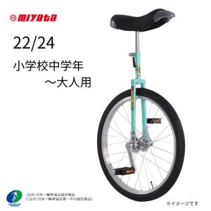 ミヤタ 一輪車 フラミンゴ ノーパンクタイヤ 日本一輪車協会認定商品