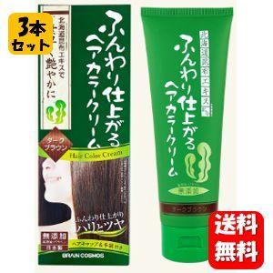 送料無料】NEW ふんわり仕上がる ヘアカラークリーム 200g×3本セット