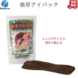 楽草ホットパット L サイズ 蒸気温熱 冷え性 温活 妊活 冷え対策 腰痛