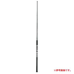 シマノ（SHIMANO） ソルティーアドバンス ショアジギング S100MH