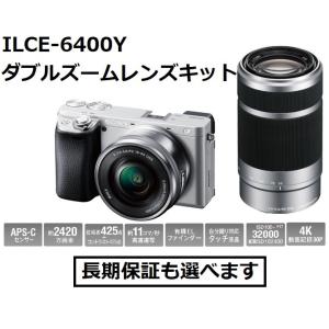 SONY（ソニー） SEL55210 (S) シルバー色 Eマウント用望遠レンズ E55