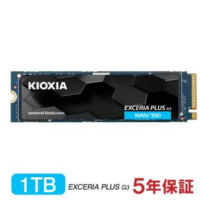 M.2 NVMe 1TB | 内蔵SSD 外付けSSD Xray Disk PCIe ノートブックPC用