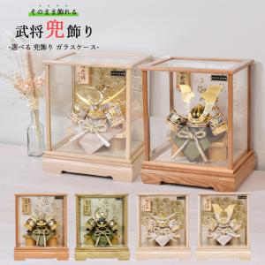 五月人形 コンパクト 武将 上杉謙信 12号 ケース飾り ガラスケース