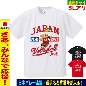 バレーボール 応援 Tシャツ 名入れ対応 龍神ニッポン 速乾ドライ