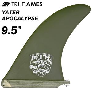 TRUE AMES トゥルーアムス フィン YATER SPOON GLOSS 9.75