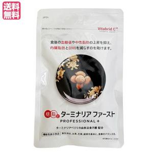 ターミナリアファースト プロフェッショナル3(スリー)120粒 機能性表示