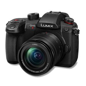 LUMIX Gシリーズ [新品]Panasonic パナソニック G99M2 レンズキット