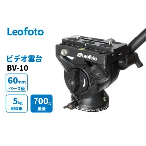 Manfrotto（マンフロット） ビデオカメラ用雲台 MVH502AH [プロ
