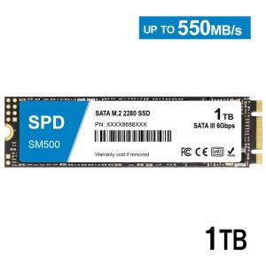 SPD ポイント2倍 SPD SSD 512GB M.2 2280 SATA III 6.0Gb/s R: 550MB/s