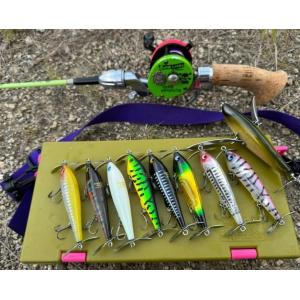 FROG PRODUCTS（フロッグプロダクツ） タガメスーパーバス : ウインズ