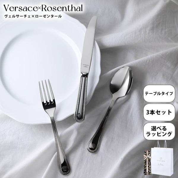 VERSACE（ヴェルサーチェ） スペシャルラッピング付き 純正紙袋付き