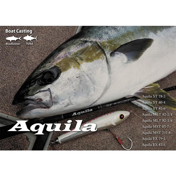 ripplefisher Aquila MLT 82-2/4 /リップルフィッシャー アクイラ
