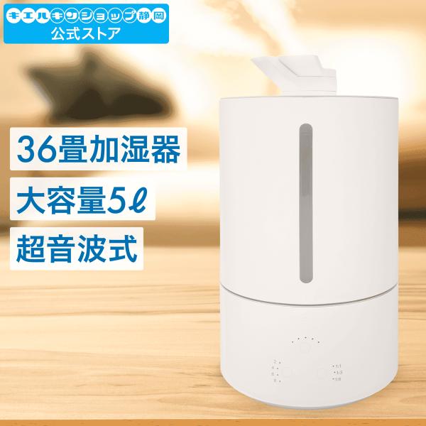 kierukin-shizuoka_161234