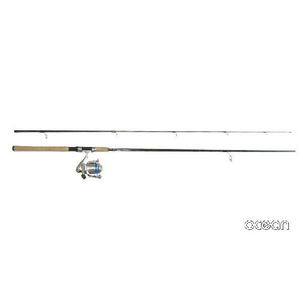 初心者 ヒラメ シーバス 青物 ルアー スピニングロッド 9Ft ＆ リール