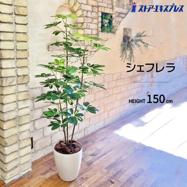 ストア・エキスプレス フェイクグリーン 大型 観葉植物 フェイク 人工