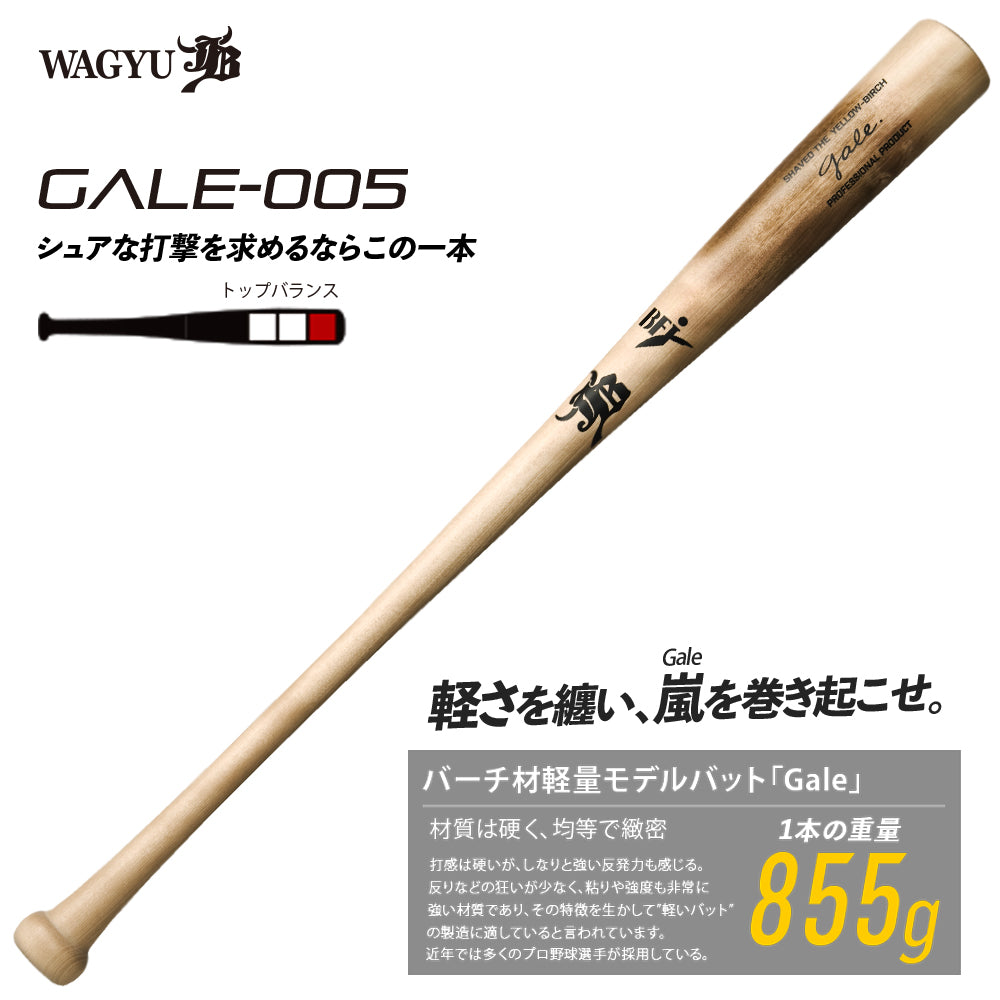 バーチ材硬式木製バット「ゲイル-Gale-」/BFJ対応 – ボールパーク