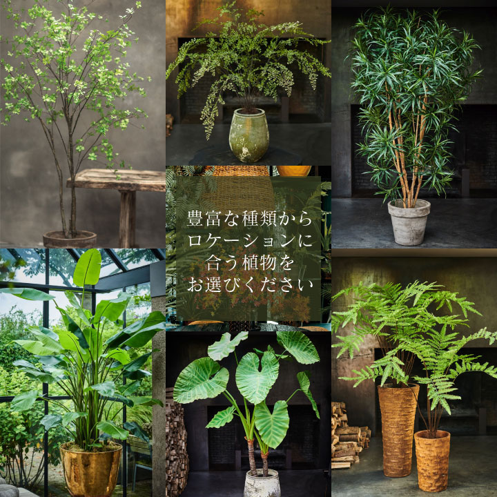 大型 フェイクグリーン「ドラセナ 183cm シルカ（Silk-ka）」おしゃれ