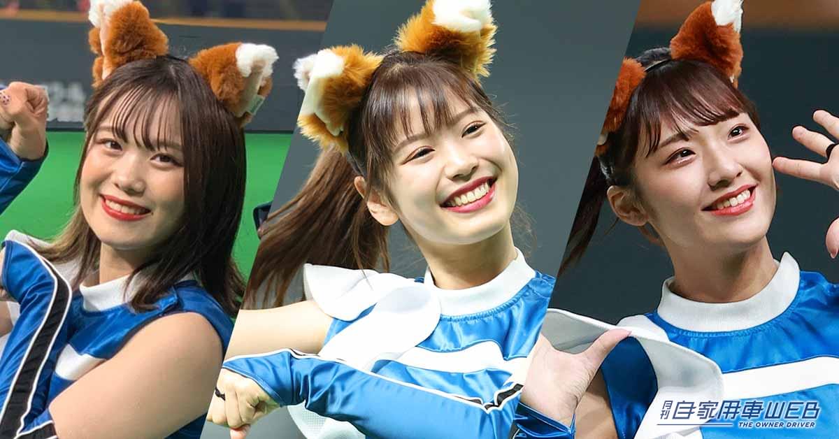 侍ジャパン】でも大人気のきつねダンスがテレビで特集!「コンにちは