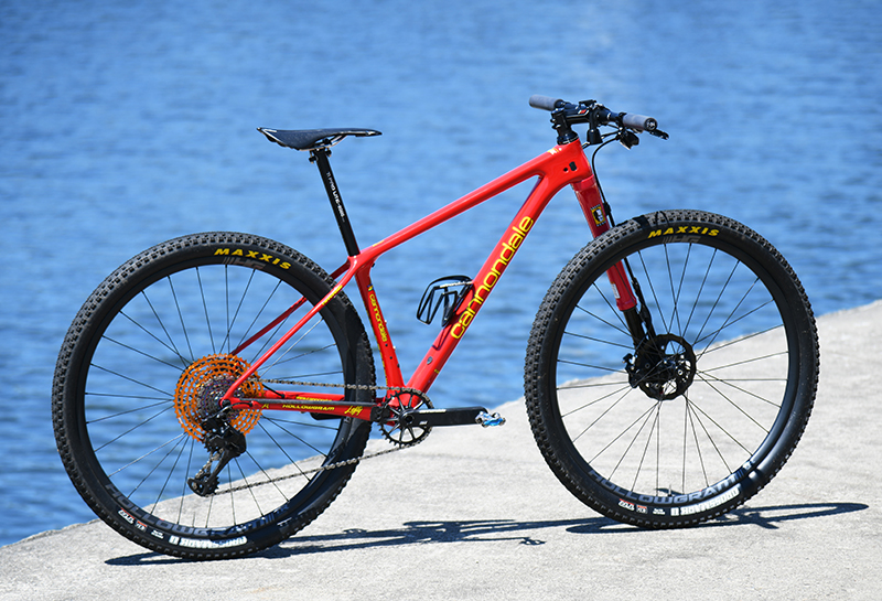 CANNONDALE F-Si】最旬MTBカスタム