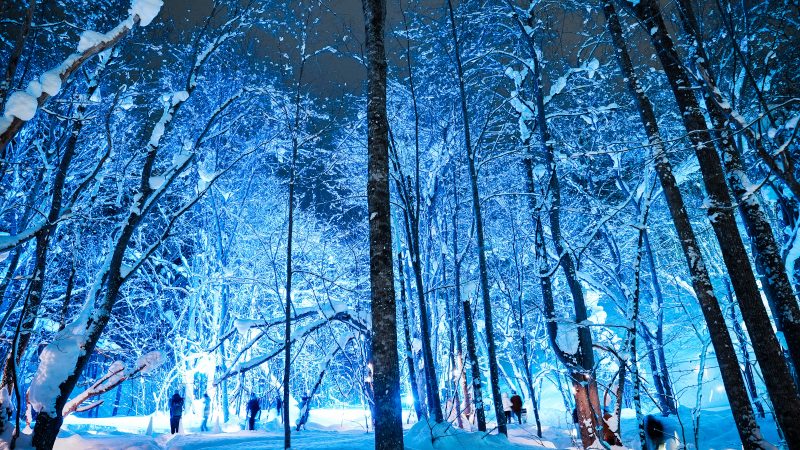 f71ca103eade88650e51e7beaf22af