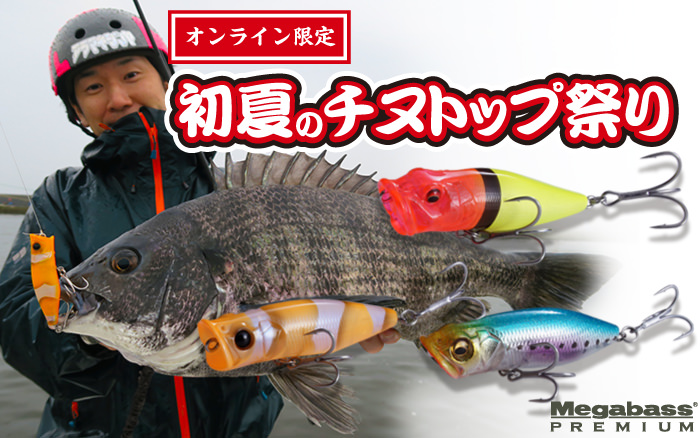 Salt Water Premium 第1弾 初夏のチヌトップ祭り | Megabass