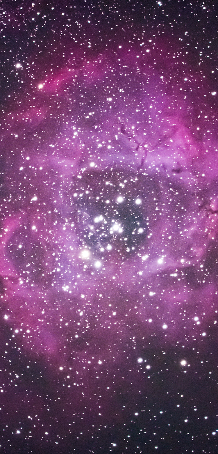 基本情報｜M.ZUIKO DIGITAL ED 150-400mm F4.5 TC1.25x IS PRO｜M